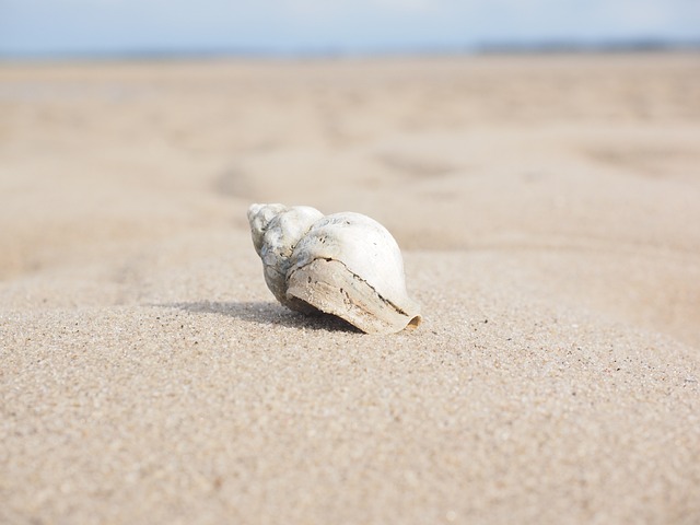 lastura na písku
